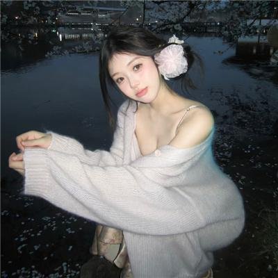 高速路上一只猫